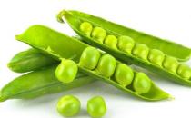 吃出白嫩肌！10種蔬菜不能少