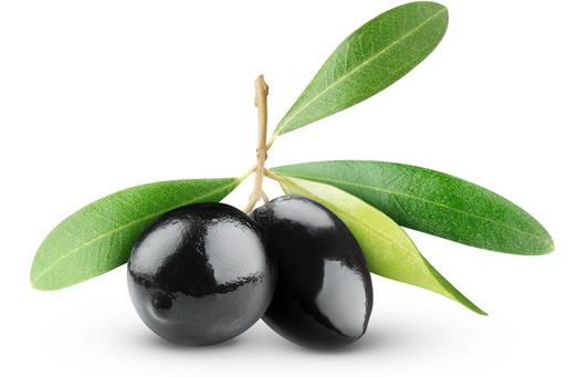 橄欖油能護(hù)發(fā)？五大護(hù)發(fā)秘笈