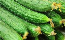 夏季吃什么美容？10大美容護膚食物推薦