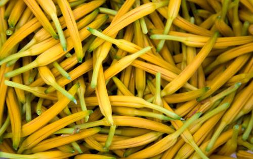 7種蔬菜沒(méi)煮熟毒勝砒霜
