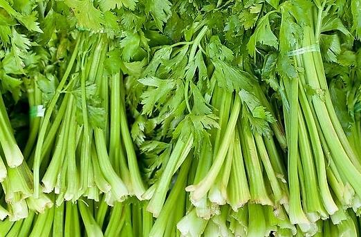 患冠心病吃哪些蔬菜好？