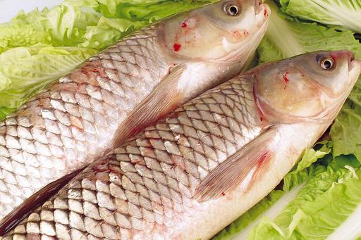 草魚(yú)的營(yíng)養(yǎng)價(jià)值與功效