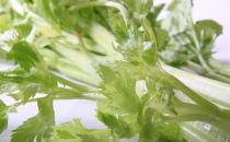 芹菜也分種類 芹菜有哪些藥效？
