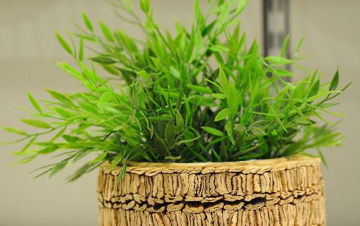 施肥在養(yǎng)花的過(guò)程中的必要性