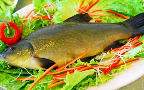 丁桂魚有什么營養(yǎng)價值與功效？