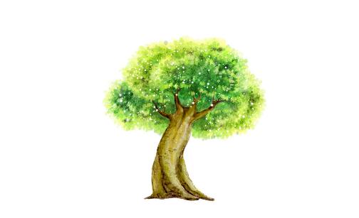 榕樹是怎樣的？怎么識(shí)別榕樹？