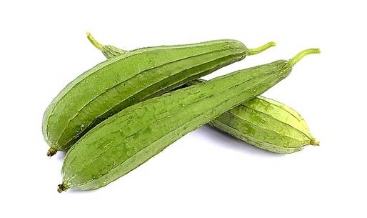 絲瓜上市好美味 細(xì)皮嫩肉才最好
