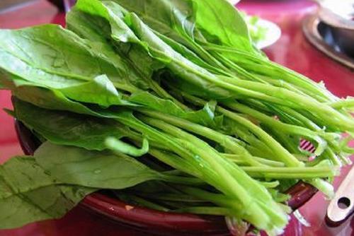 菠菜營養(yǎng)功效及食用注意事項
