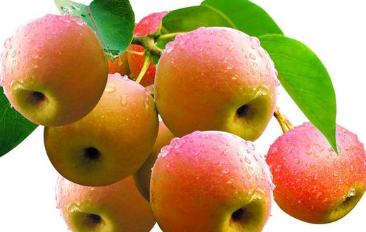 老人春季養(yǎng)生 這5種食物不能錯(cuò)過