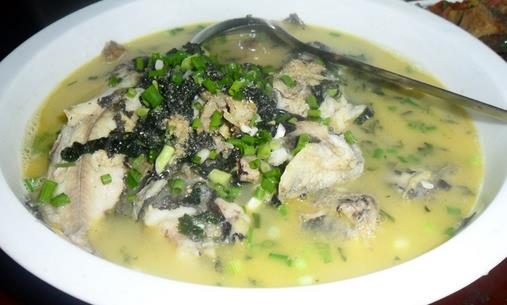 春季吃什么魚最營養(yǎng)？