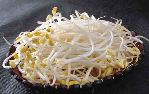 黃豆芽的營(yíng)養(yǎng)價(jià)值有哪些