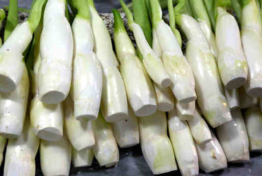茭白的營養(yǎng)價(jià)值與飲食禁忌介紹