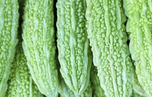 兒童吃苦味菜造血促食欲 苦味菜有哪些？