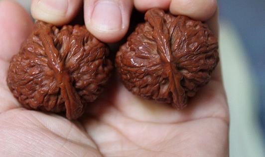 助男性增壽的手部運(yùn)動(dòng)法