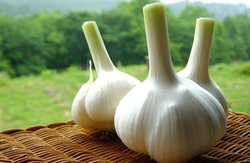 生吃一物可一輩子遠(yuǎn)離癌癥