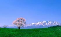 90后初入職場(chǎng)如何排除職場(chǎng)路障？