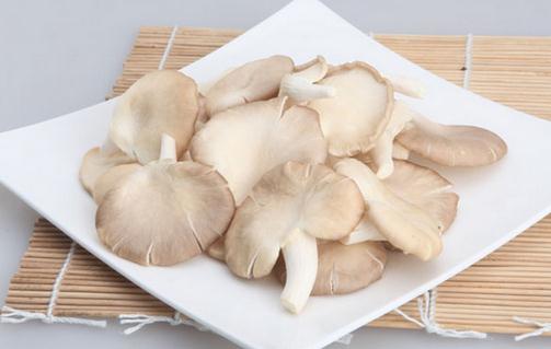 吃鳳尾菇好嗎？鳳尾菇怎么做好吃？