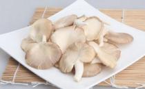 吃鳳尾菇好嗎？鳳尾菇怎么做好吃？