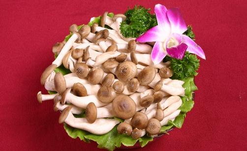 蟹味菇的營養(yǎng)價(jià)值 蟹味菇的做法大全