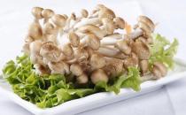 真姬菇的營養(yǎng)價(jià)值 真姬菇的做法