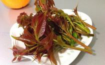 如何挑選香椿芽？香椿芽怎么吃最健康？