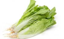 小白菜怎么做？小白菜的簡介