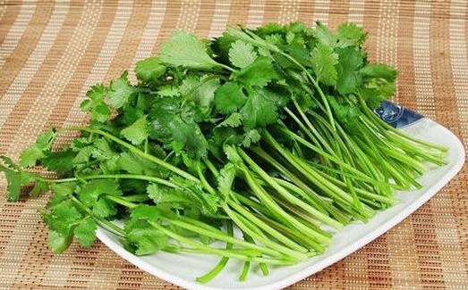 芫荽是什么？芫荽怎么做好吃？