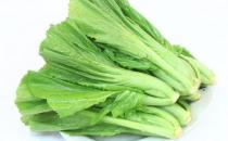 葉用芥菜是什么？葉用芥菜怎么做？