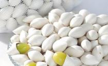 白果可以當零食吃嗎？