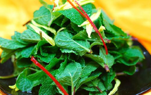 吃野菜有哪些注意事項(xiàng)