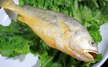【黃魚】_黃魚的營養(yǎng)價(jià)值,功效與作用,黃魚怎么做好吃,黃魚的做法大全 【黃魚】_黃魚的營養(yǎng)價(jià)值,功效與作用,黃魚怎么做好吃,黃魚的做法大全