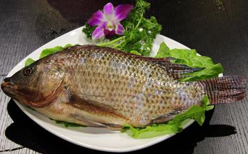 【福壽魚】_福壽魚的營(yíng)養(yǎng)價(jià)值,福壽魚怎么做好吃,福壽魚的做法大全 【福壽魚】_福壽魚的營(yíng)養(yǎng)價(jià)值,福壽魚怎么做好吃,福壽魚的做法大全