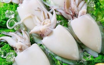 【墨魚(yú)】_墨魚(yú)的營(yíng)養(yǎng)價(jià)值,墨魚(yú)怎么做好吃,墨魚(yú)的做法大全 【墨魚(yú)】_墨魚(yú)的營(yíng)養(yǎng)價(jià)值,墨魚(yú)怎么做好吃,墨魚(yú)的做法大全