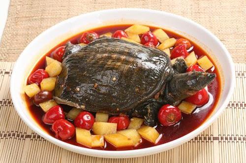 甲魚的營養(yǎng)價(jià)值 男人怎么吃最有營養(yǎng)
