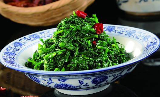 這些野菜能養(yǎng)生你認(rèn)識幾種？