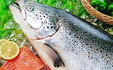 【三文魚】_三文魚的營養(yǎng)價值,三文魚怎么做好吃,三文魚的做法大全 【三文魚】_三文魚的營養(yǎng)價值,三文魚怎么做好吃,三文魚的做法大全