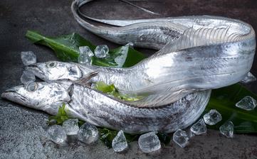 【帶魚】_帶魚的營(yíng)養(yǎng)價(jià)值,帶魚怎么做好吃,帶魚的家常做法大全 【帶魚】_帶魚的營(yíng)養(yǎng)價(jià)值,帶魚怎么做好吃,帶魚的家常做法大全