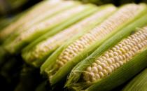 玉米含有甜蜜素 多食玉米有害嗎？