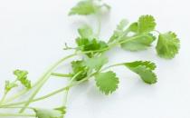 香菜容易加重引發(fā)氣虛感冒