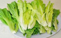 白菜有多種 哪種白菜營養(yǎng)更高？