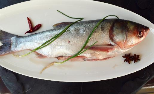 冷水魚是啥？冷水魚最美味
