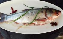冷水魚是啥？冷水魚最美味