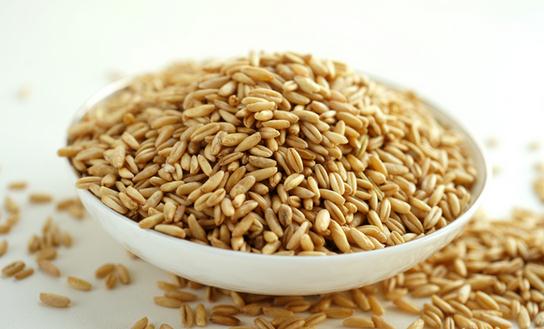 購(gòu)買(mǎi)燕麥還是燕麥片比較好？