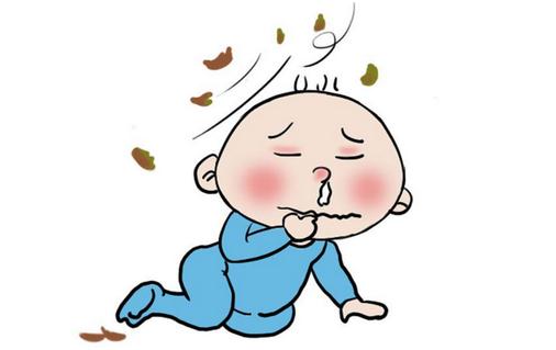 豆豉紫蘇粥能夠治療感冒嗎