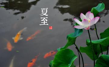 【夏至節(jié)氣】夏至是幾月幾日_夏至吃什么_夏至養(yǎng)生_夏至是什么意思 【夏至節(jié)氣】夏至是幾月幾日_夏至吃什么_夏至養(yǎng)生_夏至是什么意思