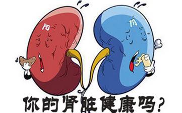 【腎虛】腎虛的表現(xiàn)_腎虛吃什么_腎虛的原因_腎虛的癥狀有哪些