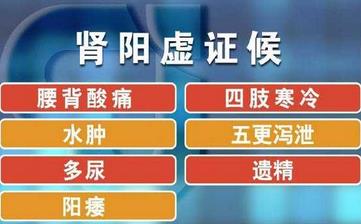 【腎陽虛】腎陽虛的表現(xiàn)_腎陽虛吃什么_腎陽虛的原因_腎陽虛的癥狀 【腎陽虛】腎陽虛的表現(xiàn)_腎陽虛吃什么_腎陽虛的原因_腎陽虛的癥狀