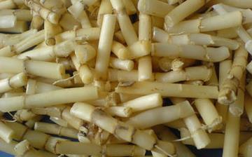 【白茅根】白茅根的功效與作用及禁忌_白茅根泡水的藥用價(jià)值 【白茅根】白茅根的功效與作用及禁忌_白茅根泡水的藥用價(jià)值