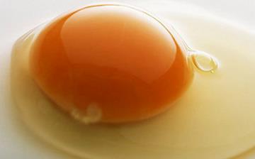 【雞蛋黃】蛋黃的營養(yǎng)價值及功效與作用_吃蛋黃的好處和禁忌 【雞蛋黃】蛋黃的營養(yǎng)價值及功效與作用_吃蛋黃的好處和禁忌