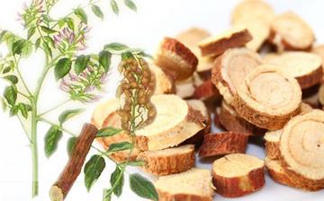 【甘草】甘草的功效和作用_甘草泡水喝的功效_甘草的藥用價(jià)值